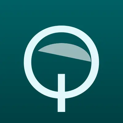 Визитка: Qiwi, платежный терминал в Белово