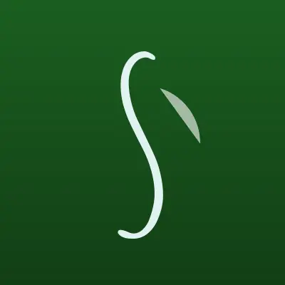 Визитка: SANTAS Professional, сеть химчисток в Ростове-на-Дону