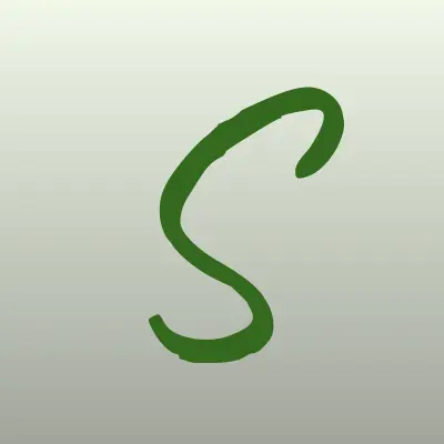 Визитка: SVision, компания в Тольятти