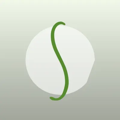 Визитка: Saylent, производственно-монтажная компания в Красноярске