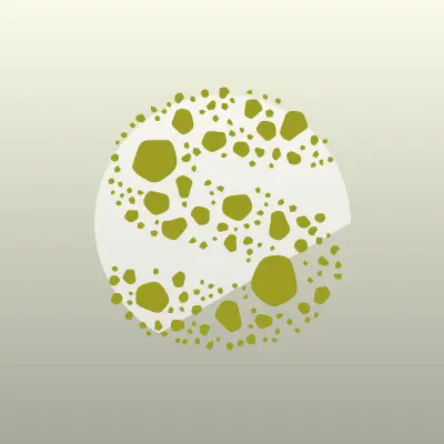 Визитка: Сэнсэй, экипировочный центр для дзюдо и самбо в Тюмени