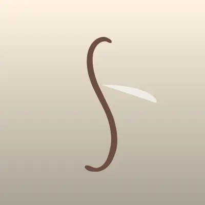 Визитка: Специализированная детско-юношеская спортивная школа №4 в Саранске