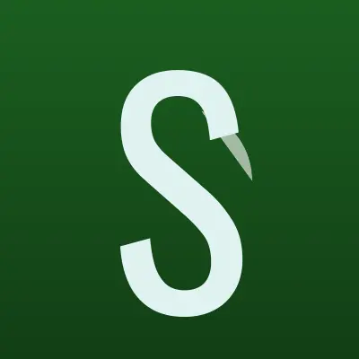 Визитка: Строй-Сервис, строительная компания в Пензе