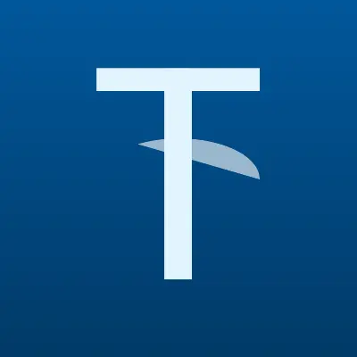 Визитка: ТДСТ, компания в Москве