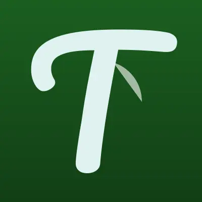 Визитка: ТТК, телекоммуникационная компания в Магнитогорске