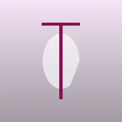 Визитка: ТВ-Сервис, торгово-монтажная компания в Тольятти