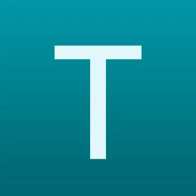 Визитка: Team VTEC, центр чип-тюнинга японских, европейских и российских автомобилей в Кургане