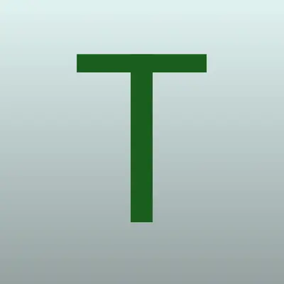 Визитка: Транспортная Экспертная Компания в Санкт-Петербурге