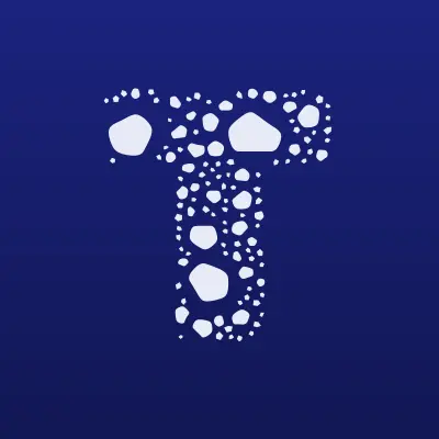 Визитка: Треугольник, компьютерная компания в Москве