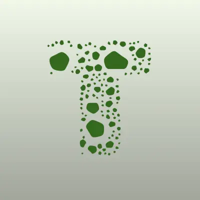 Визитка: Trust Web Design в Томске