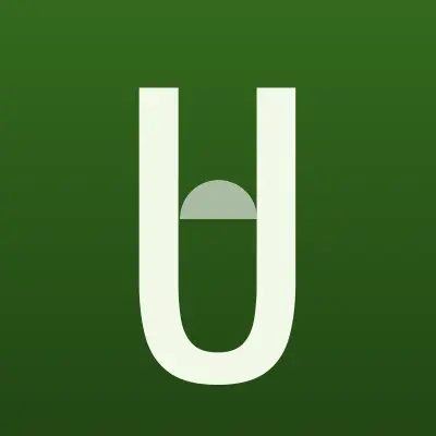 Визитка: UnionPay, компания в Москве