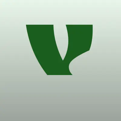 Визитка: V-Systems, компания по монтажу систем видеонаблюдения, домофонов и компьютерных сетей в Южно-Сахалинске