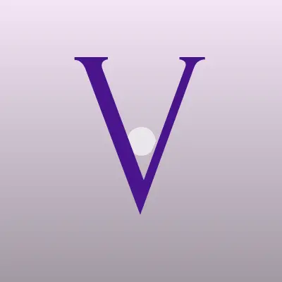 Визитка: VIM SERVICE в Москве