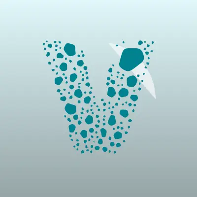 Визитка: VIVA, компания по организации экскурсий по городу в Иркутске