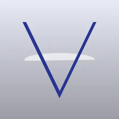 Визитка: VeGa Flowers, магазин по продаже стабилизированных цветов в Уссурийске