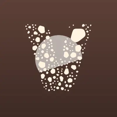 Визитка: Venatus, магазин настольных игр в Красноярске