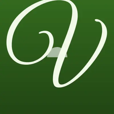 Визитка: Veter, велнес-центр в Туле