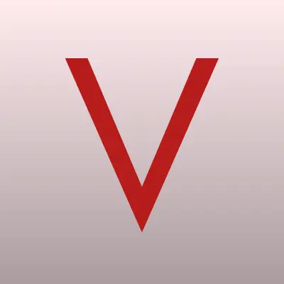 Визитка: Видок, интернет-агентство в Москве