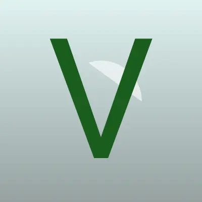 Визитка: Viva, микрофинансовая организация в Ставрополе