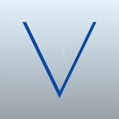 Визитка: Вояж в Благовещенске