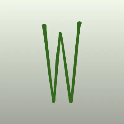 Визитка: WOK`N`ROLL, суши-бар в Петропавловск-Камчатском