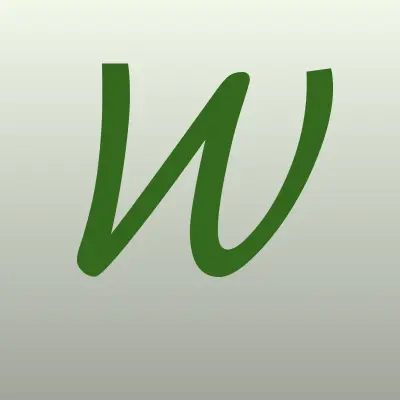 Визитка: WV Studio, студия в Благовещенске