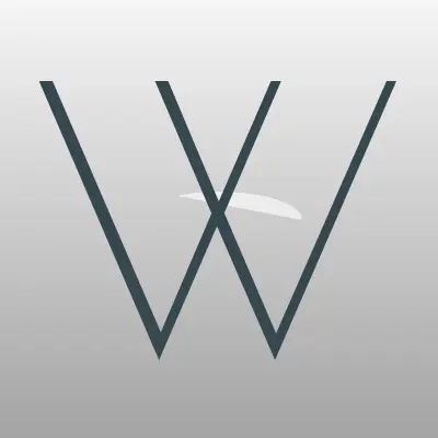 Визитка: Wave-S, компания по продаже оборудования для автомоек в Москве