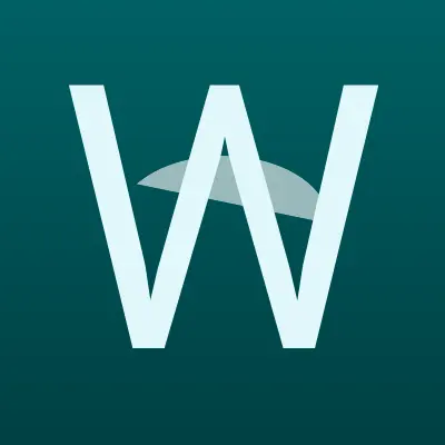 Визитка: Web Dev Studio, компания в Тюмени