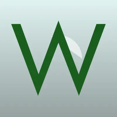 Визитка: Wellink Technologies, IT-компания в Краснообске