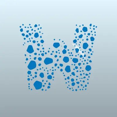 Визитка: Western Union, система денежных переводов в Махачкале