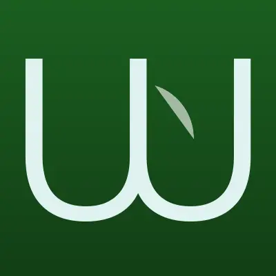 Визитка: Westland, магазин джинсовой одежды в Вологде