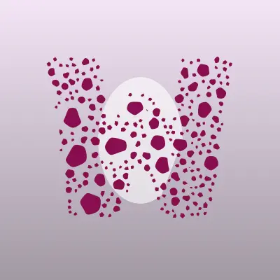 Визитка: WhiteZefir Pole & Exotic, студия танцев в Москве