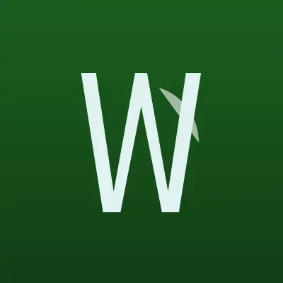 Визитка: Wind`s House, школа парусного спорта в Бердске