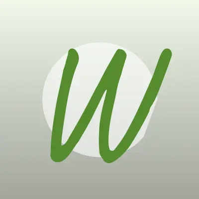 Визитка: Wizardy, компания по производству автохимии в Балашихе