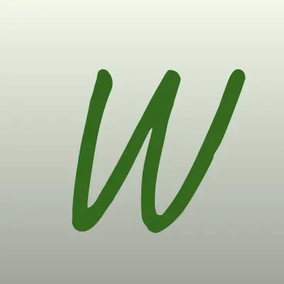 Визитка: Wok`N`Roll, магазин в Пскове