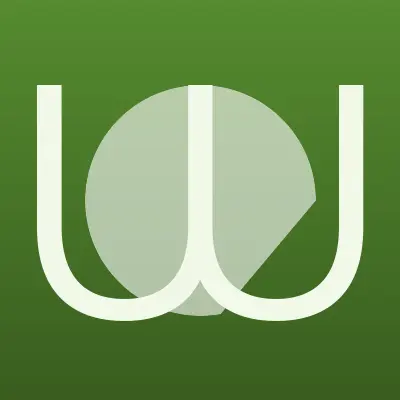 Визитка: WowSpace, компания по оформлению мероприятий в Москве