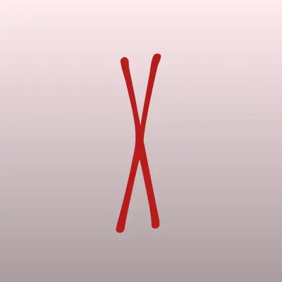 Визитка: X-Fit Самара, фитнес-клуб в Самаре