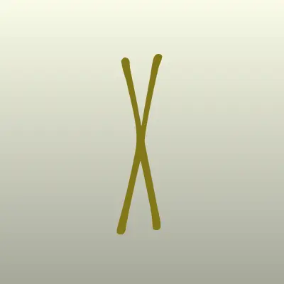 Визитка: X-Fit, фитнес-центр во Владимире