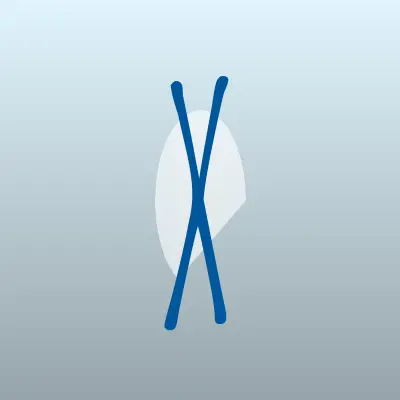 Визитка: XCMG-SERVICE в Благовещенске