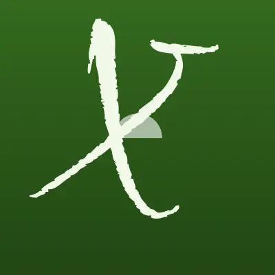 Визитка: Xelent, IT-компания в Москве