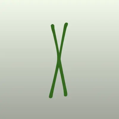 Визитка: Xps-a, типография в Химках