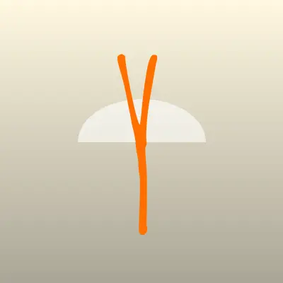 Визитка: YAMAGUCHI, салон массажного оборудования в Пскове