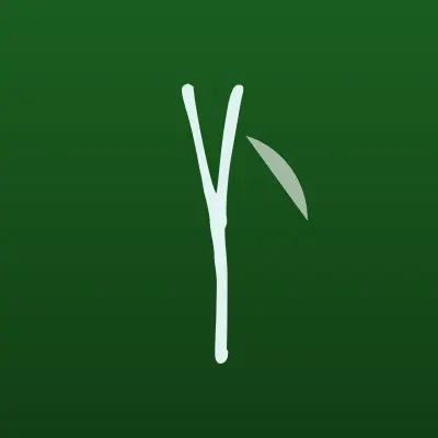 Визитка: YAStudio, студия фото и видеосъемки в Пскове