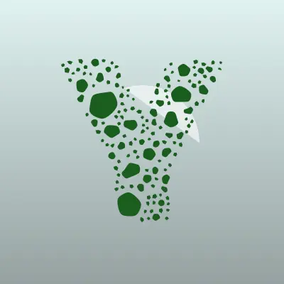 Визитка: YOUNG BOYS, детская школа футбола в Махачкале