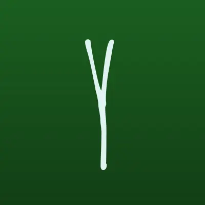 Визитка: Yandex, поисковая интернет-система в Казани