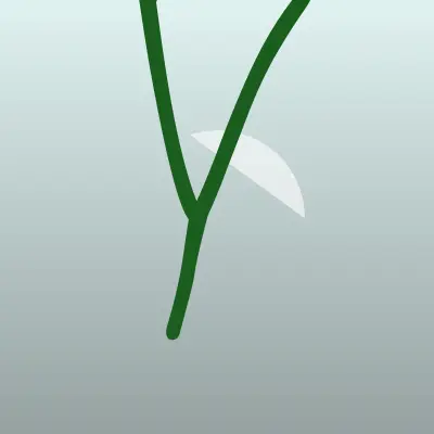 Визитка: Yelka, автомойка самообслуживания в Краснодаре