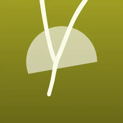 Визитка: YesDress, сеть сервисов аренды и продажи платьев в Благовещенске