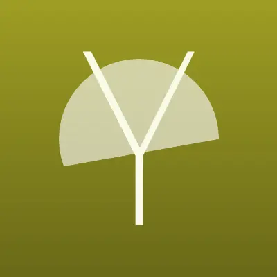 Визитка: Yesdress, компания по прокату и продаже платьев в Новосибирске