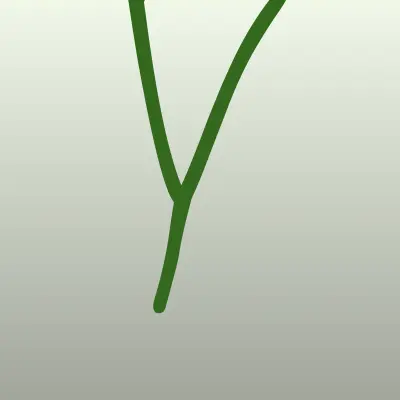 Визитка: YummyBox, магазин во Владивостоке