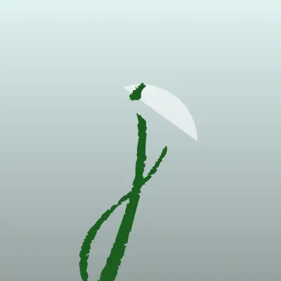 Визитка: just dance, танцевальный коллектив в Боре